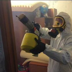 Уничтожение клопов в квартире. Гольяново 